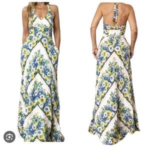 AMAZING Anthropologie Daisy Halter Maxi Dress SIZE 6